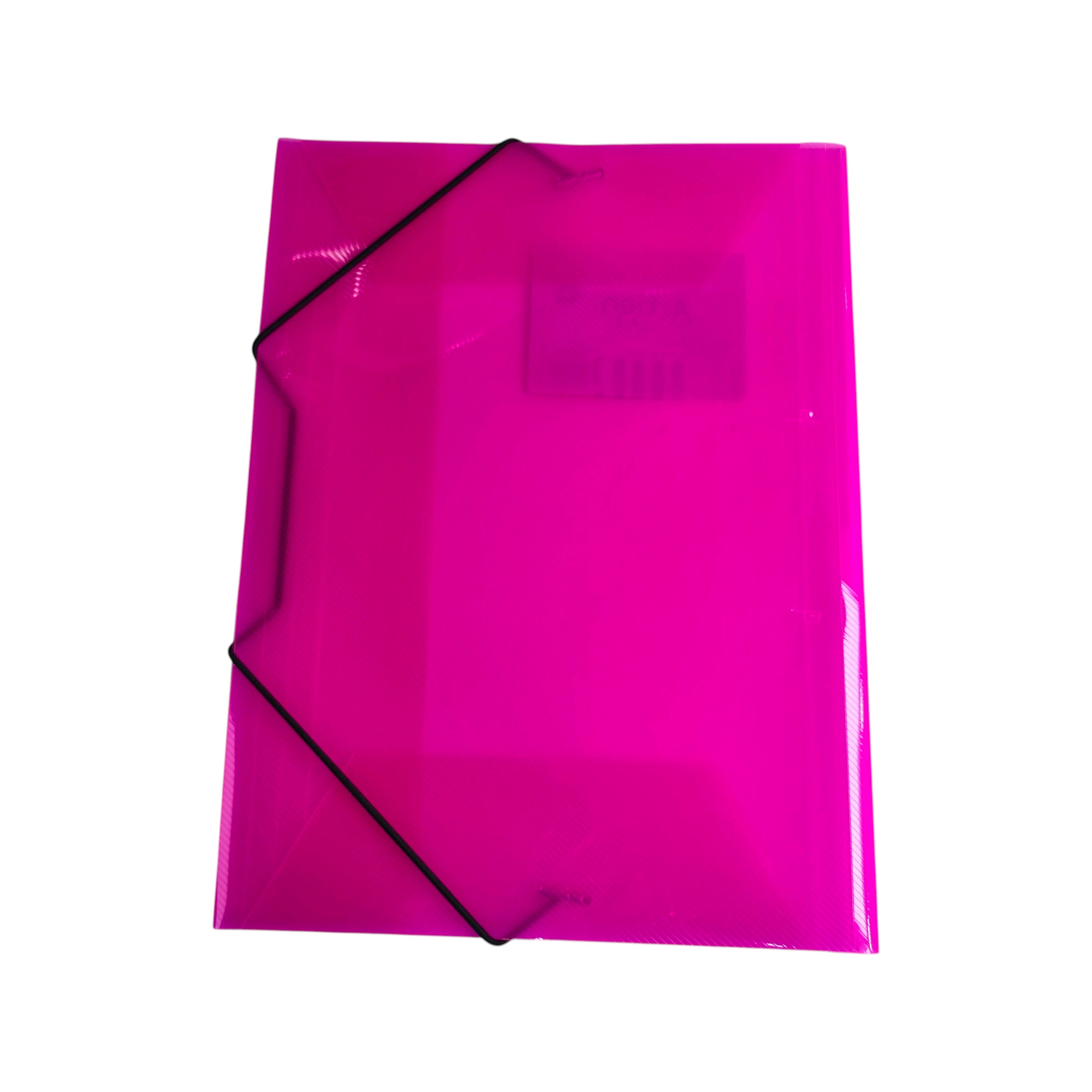Expandable Plastic Document Folder